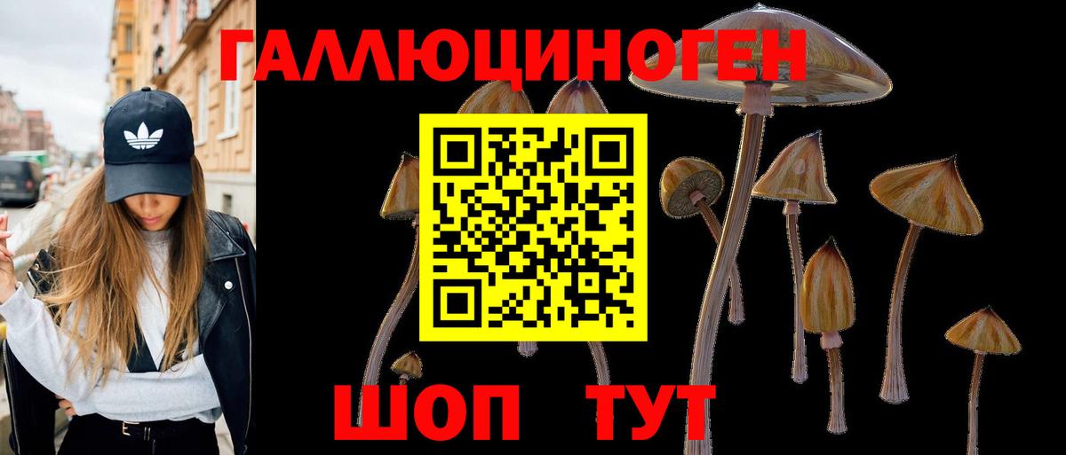 Псилоцибиновые грибы Cubensis  Вход с VPN  Глазов 